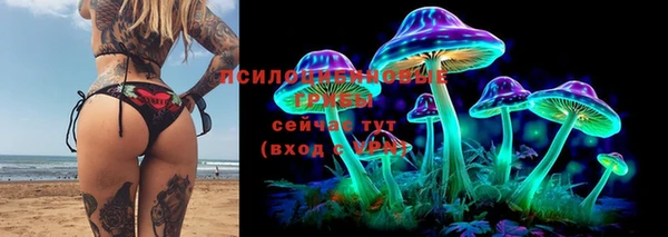 дурь Михайловка