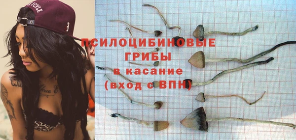 хмурый Михайловск