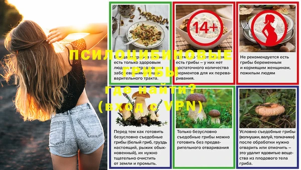 мяу мяу мука Михайлов