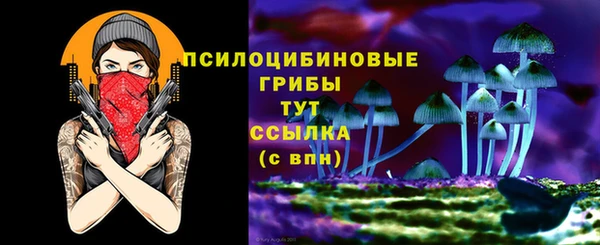 мяу мяу мука Михайлов