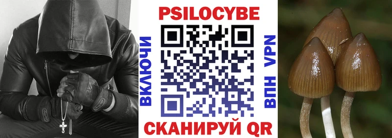 хочу   Иркутск  Галлюциногенные грибы мухоморы 
